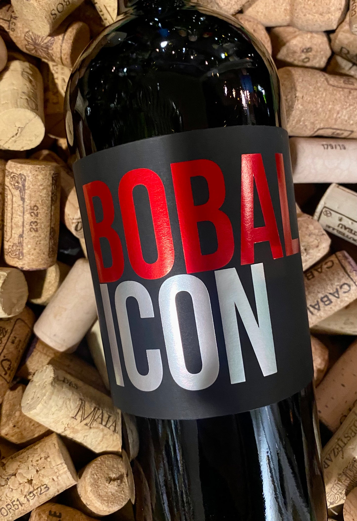 Vega Tolosa Bobal Icon-Red Wine-R&H Fine Wines