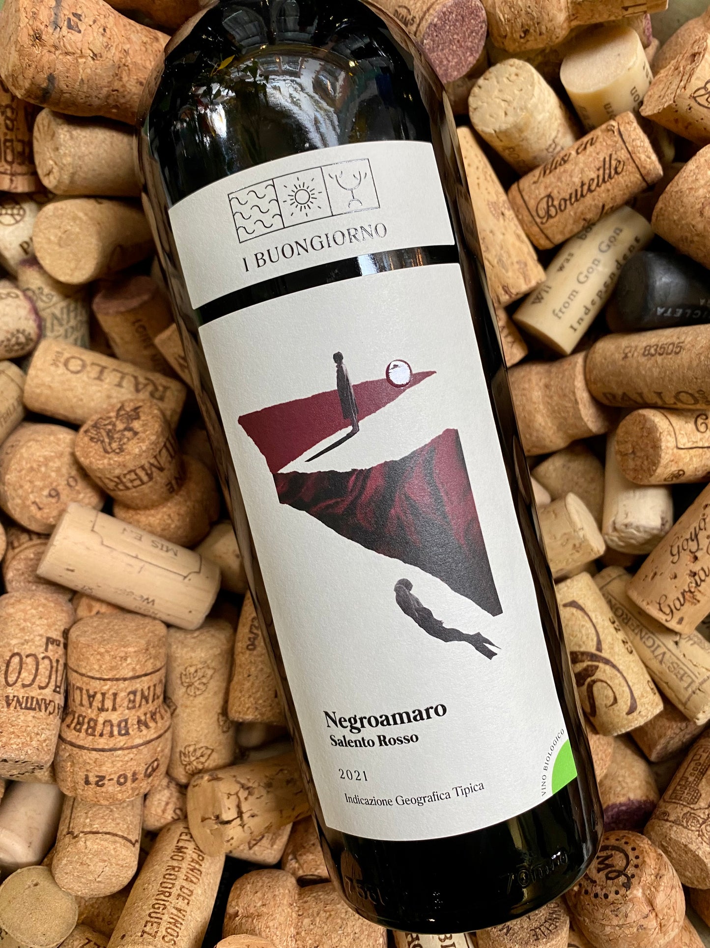 I Buongiorno Negromaro Salento-Red Wine-R&H Fine Wines