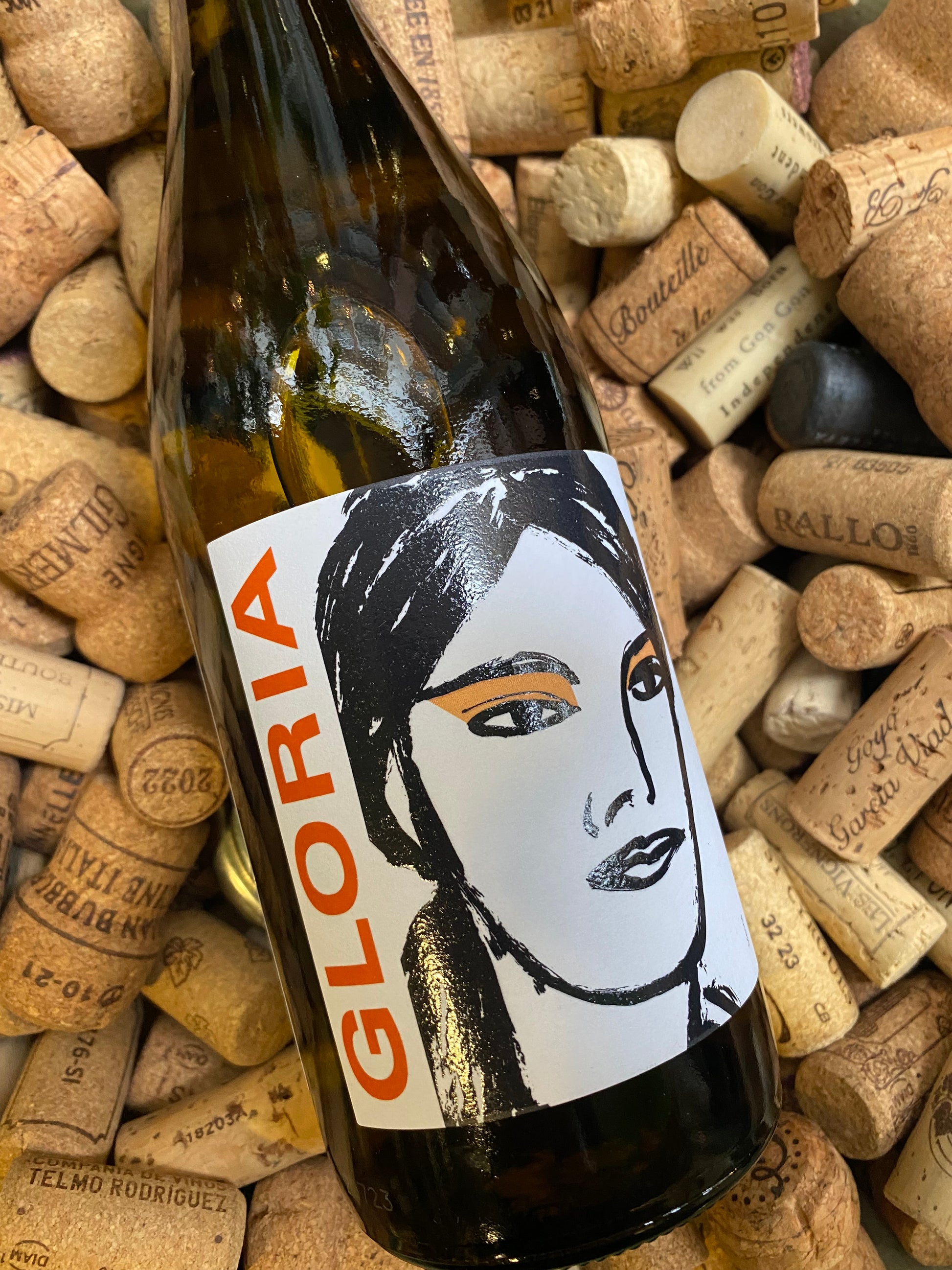 Gloria Godello-White Wine-R&H Fine Wines