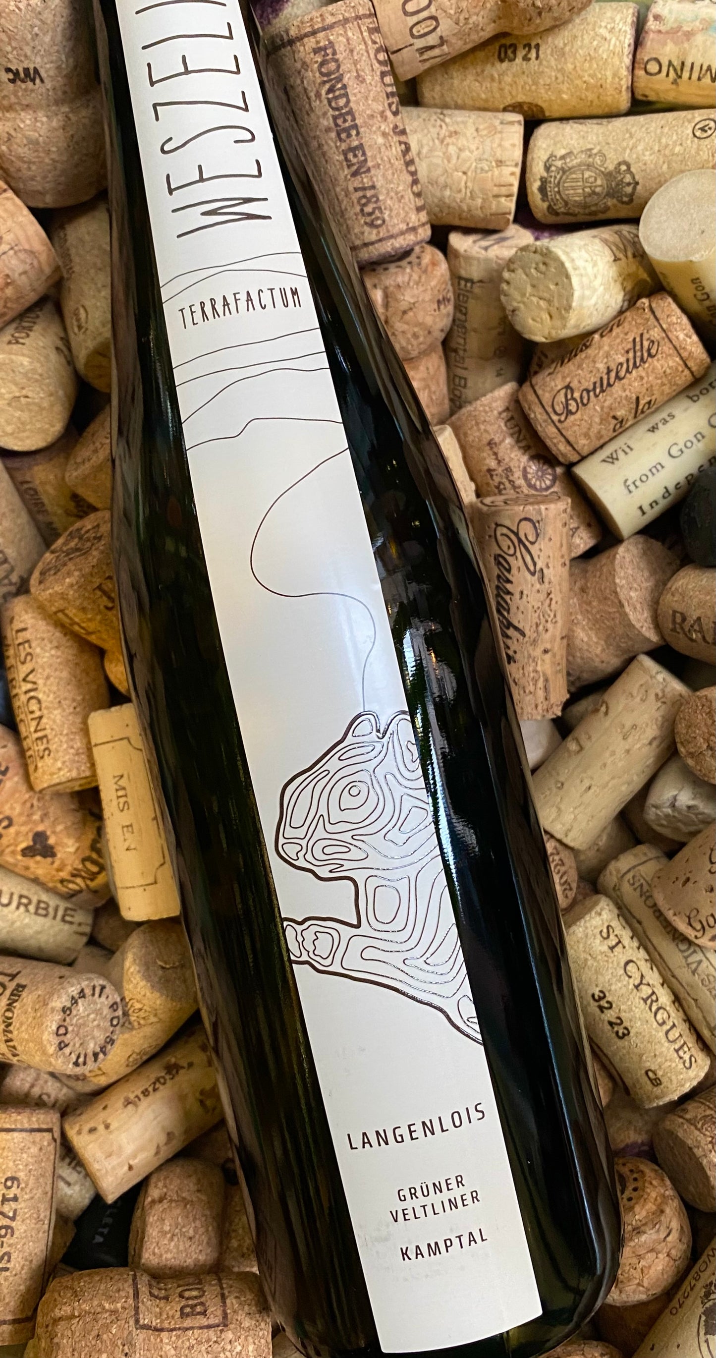 Weszeli Grüner Veltliner Langenlois-White Wine-R&H Fine Wines