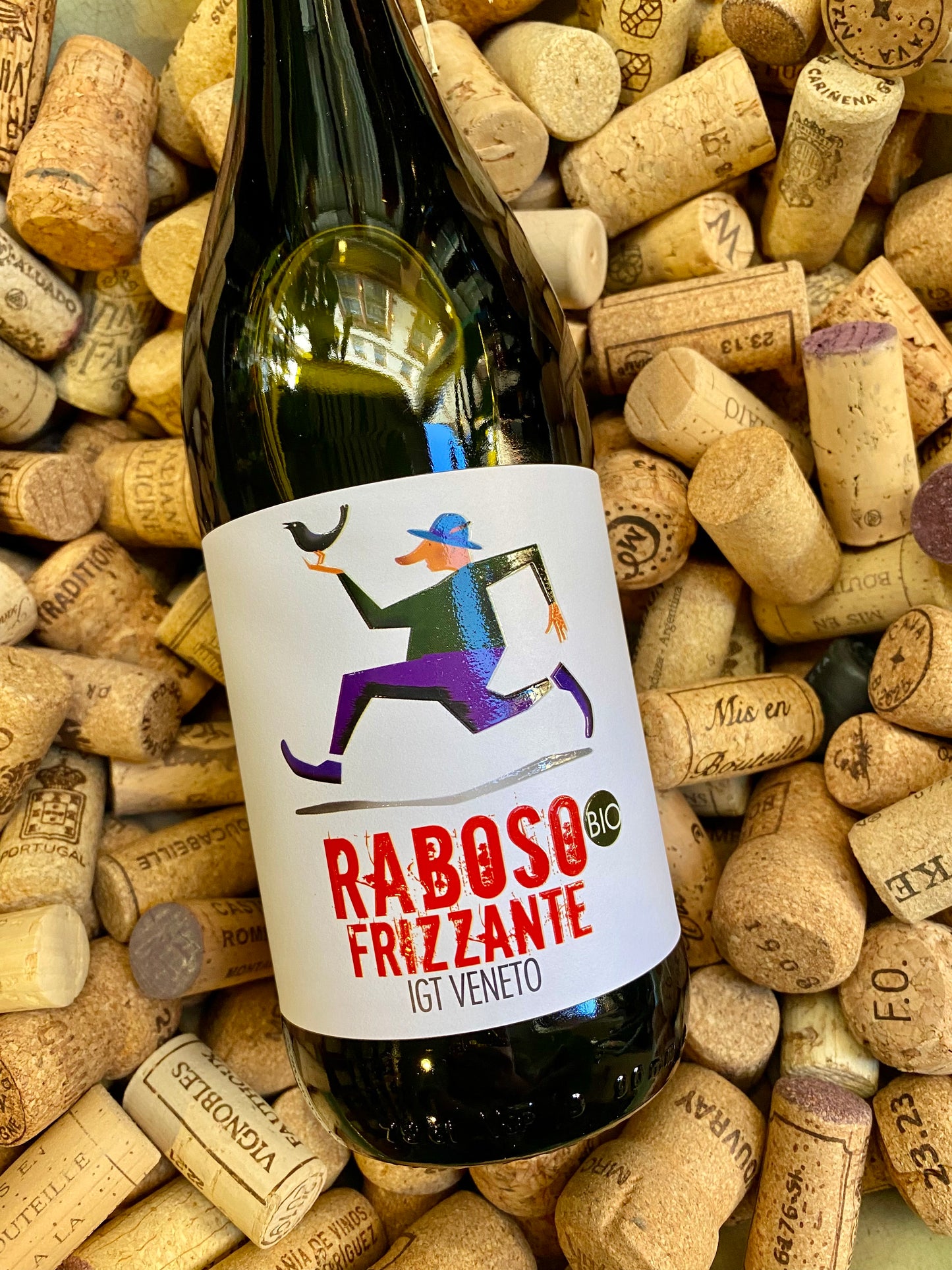 Raboso Frizzante IGT Veneto-Sparkling Wine-R&H Fine Wines
