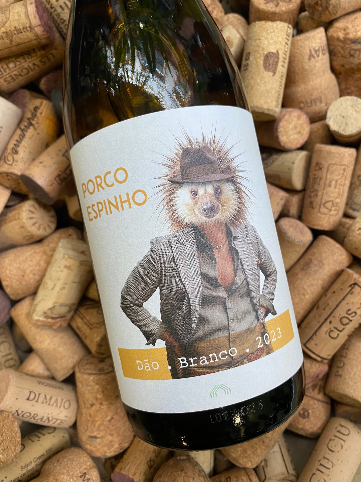Cas' Amaro Porco Espinho Branco