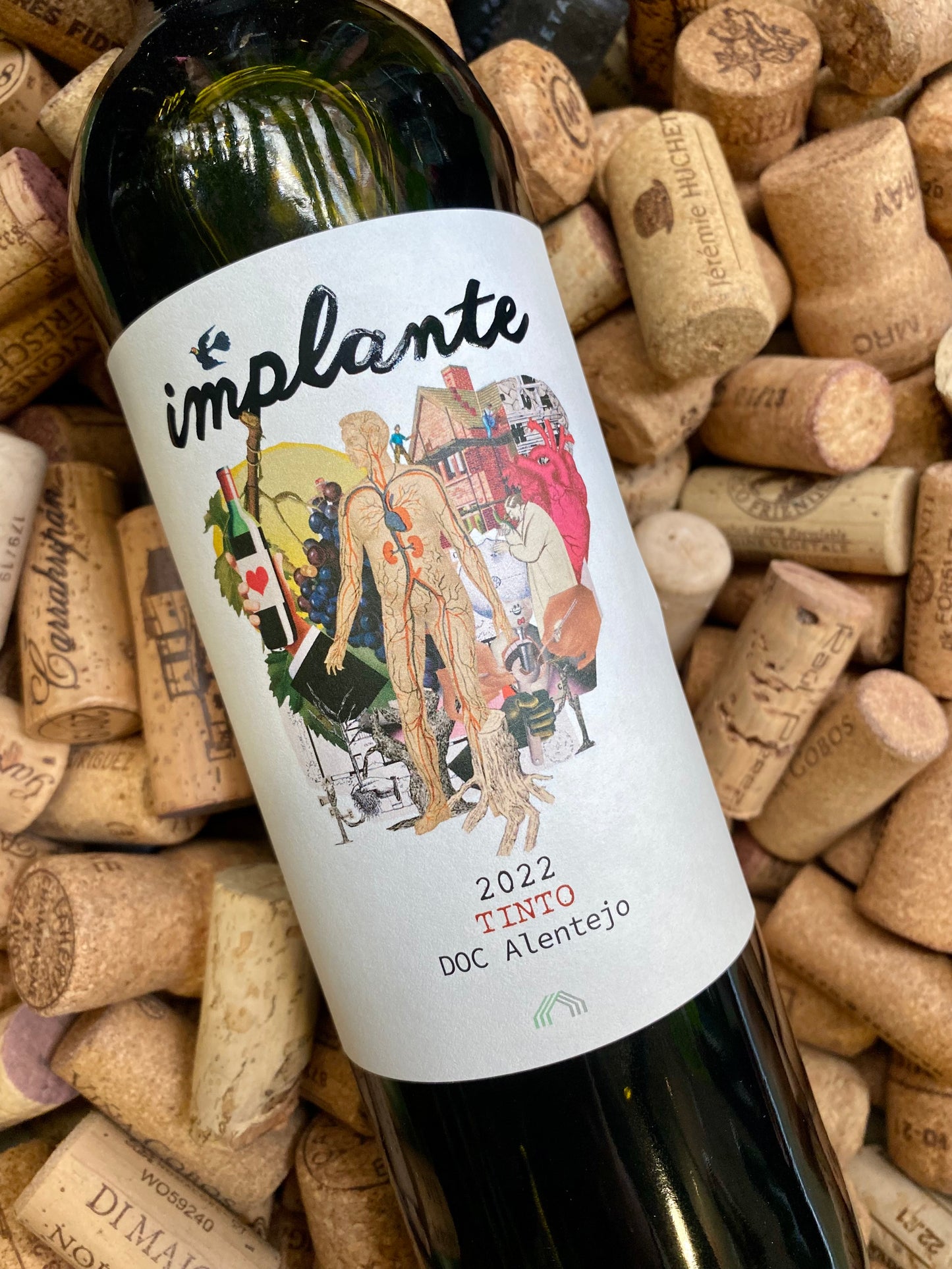 Cas' Amaro Implante Tinto