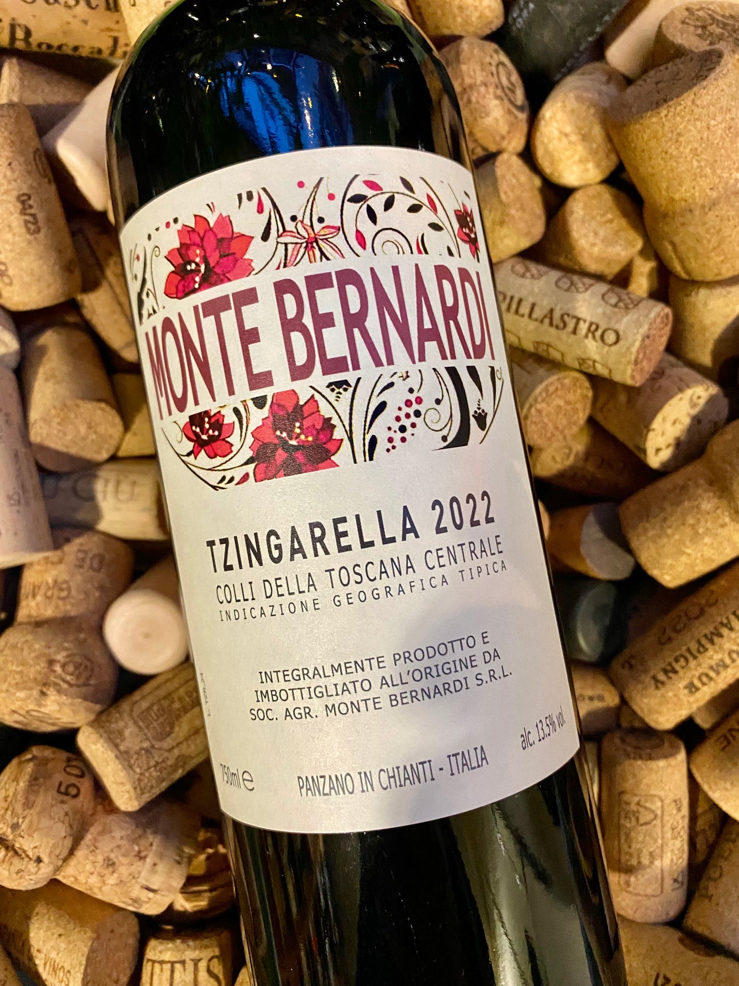 Monte Bernardi 'Tzingarella'