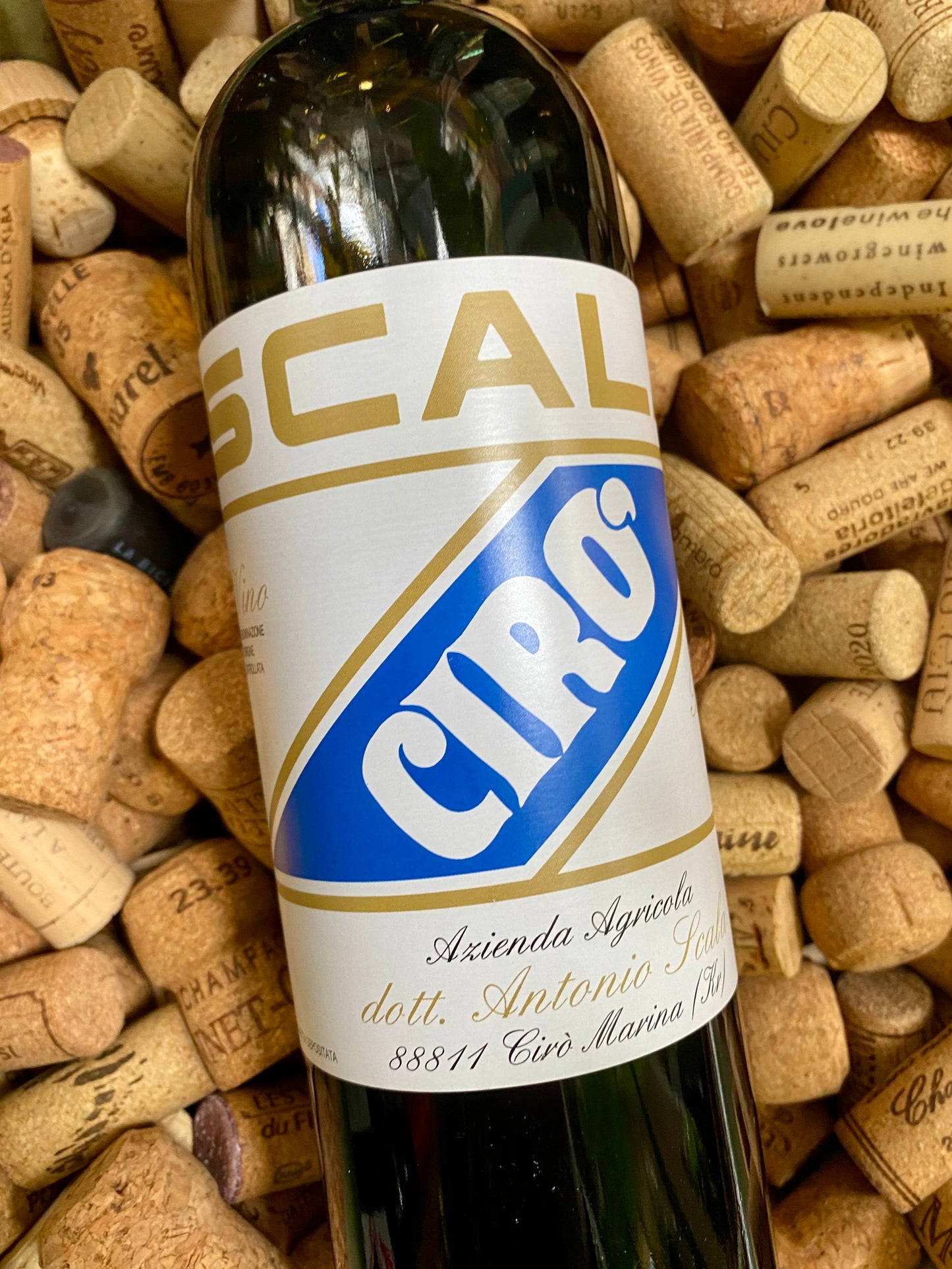 Scala Ciro Bianco-White Wine-R&H Fine Wines