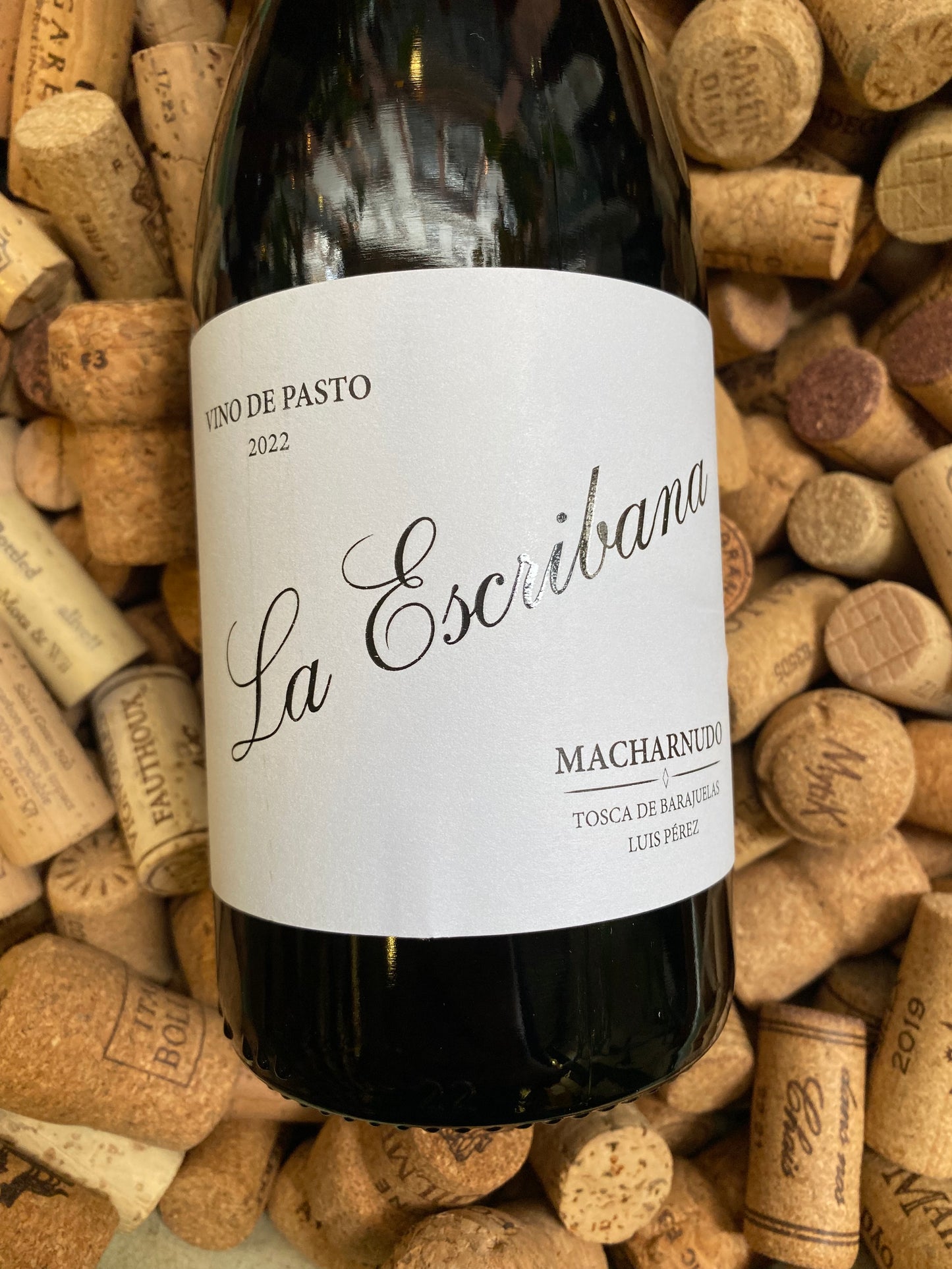 Luis Perez La Escribana-White Wine-R&H Fine Wines