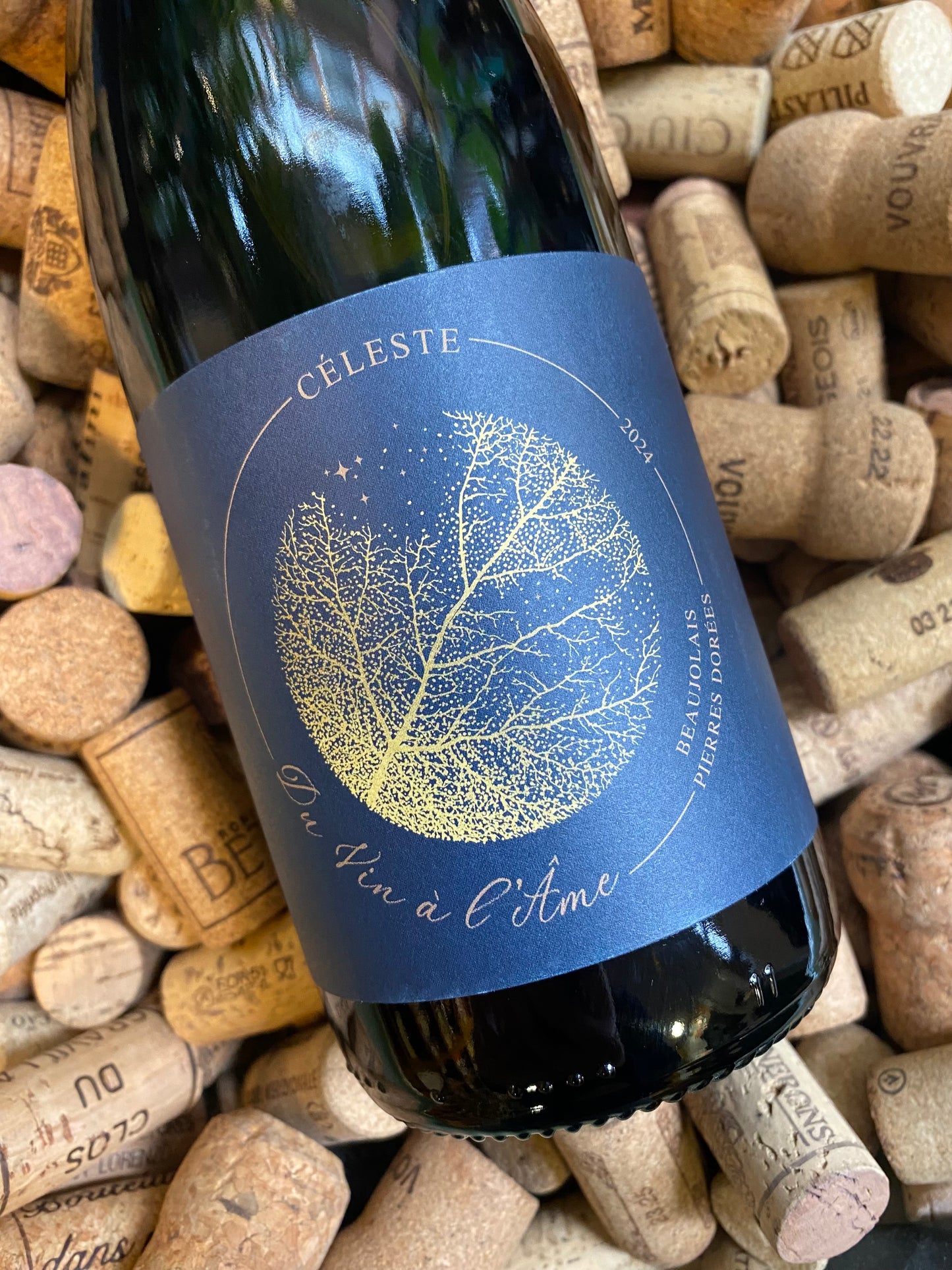 Du Vin à l'Âme Céleste