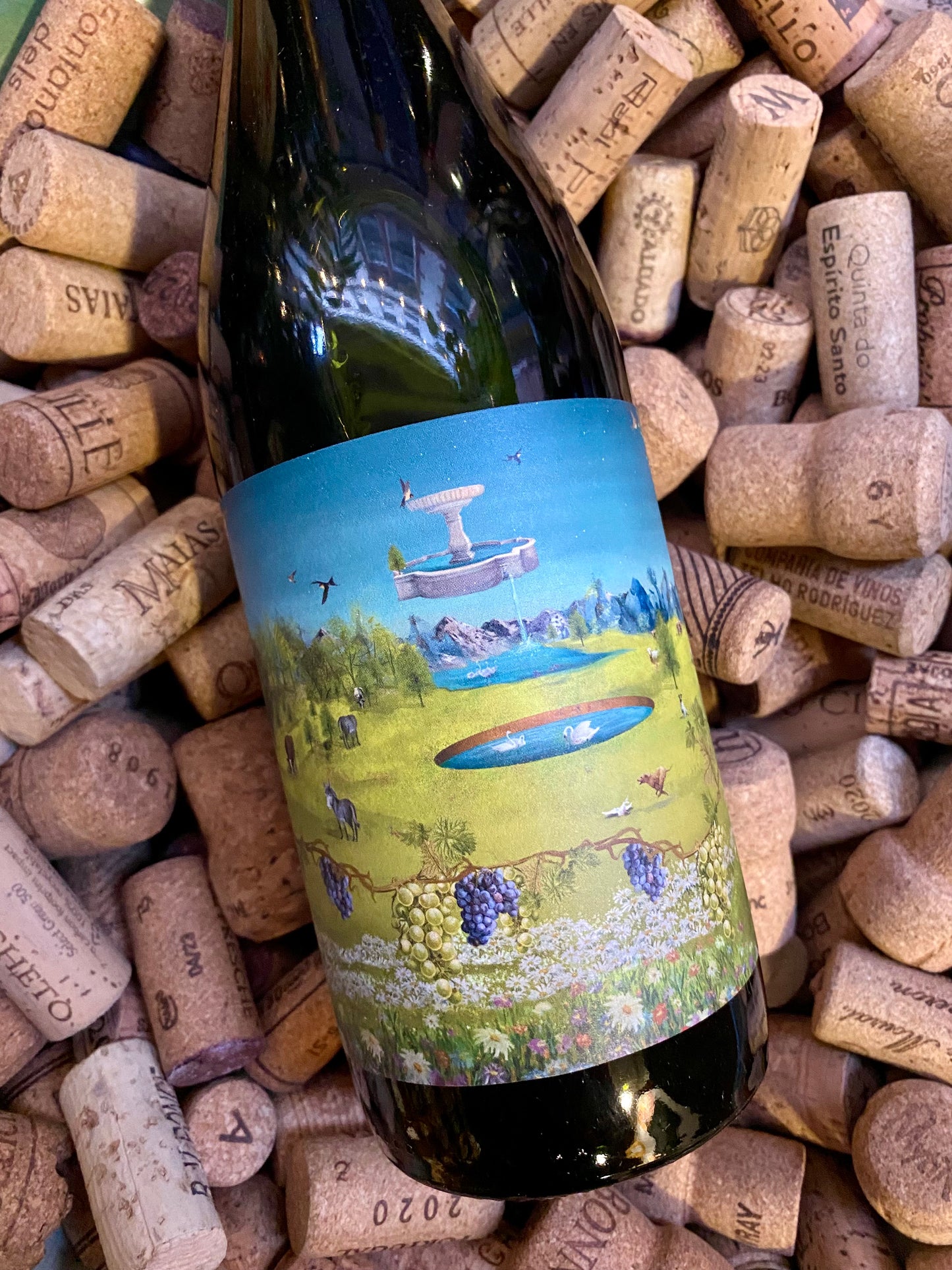 Krontiras Malbec-Red Wine-R&H Fine Wines