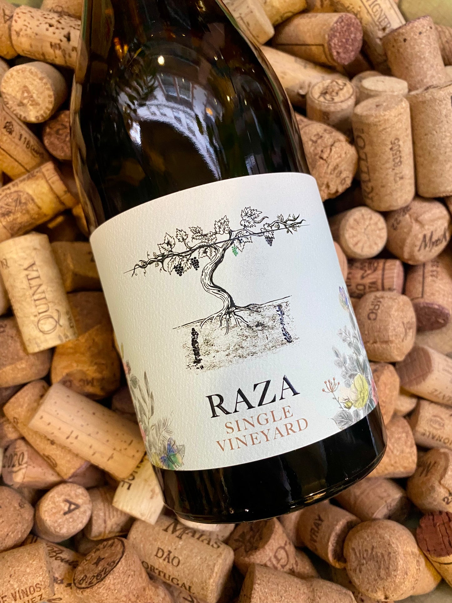 Quinta da Raza Vinho Verde-White Wine-R&H Fine Wines