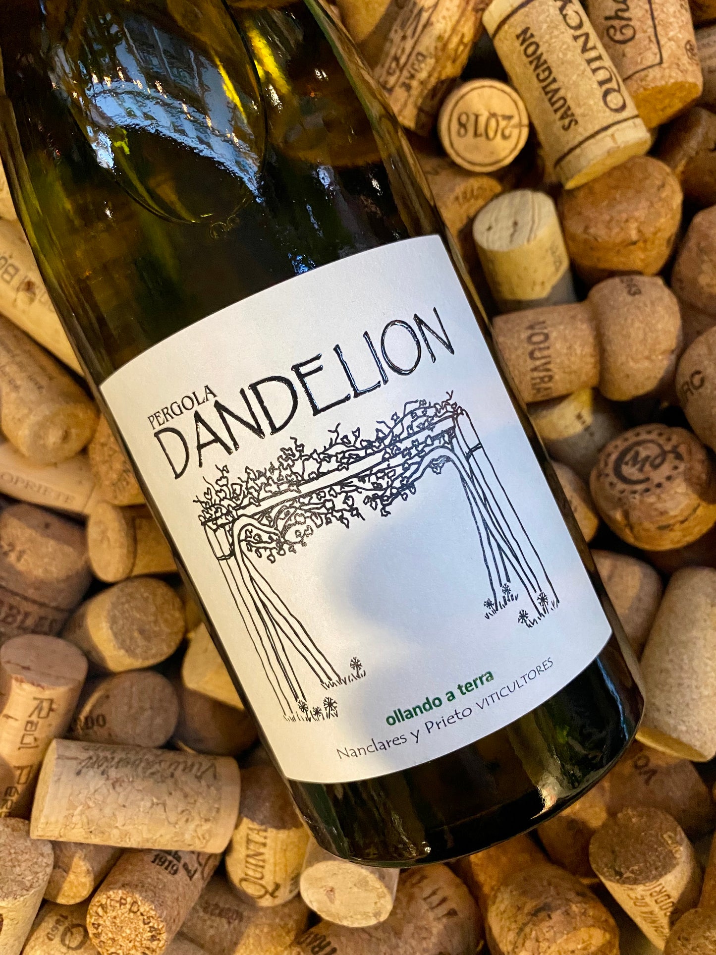 Nanclares Dandelión Albariño