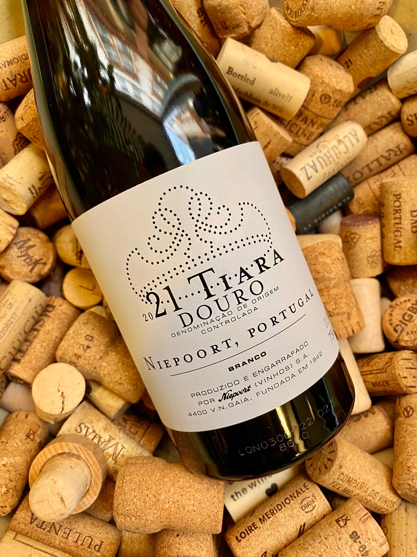 Niepoort Tiara Douro Branco-White Wine-R&H Fine Wines
