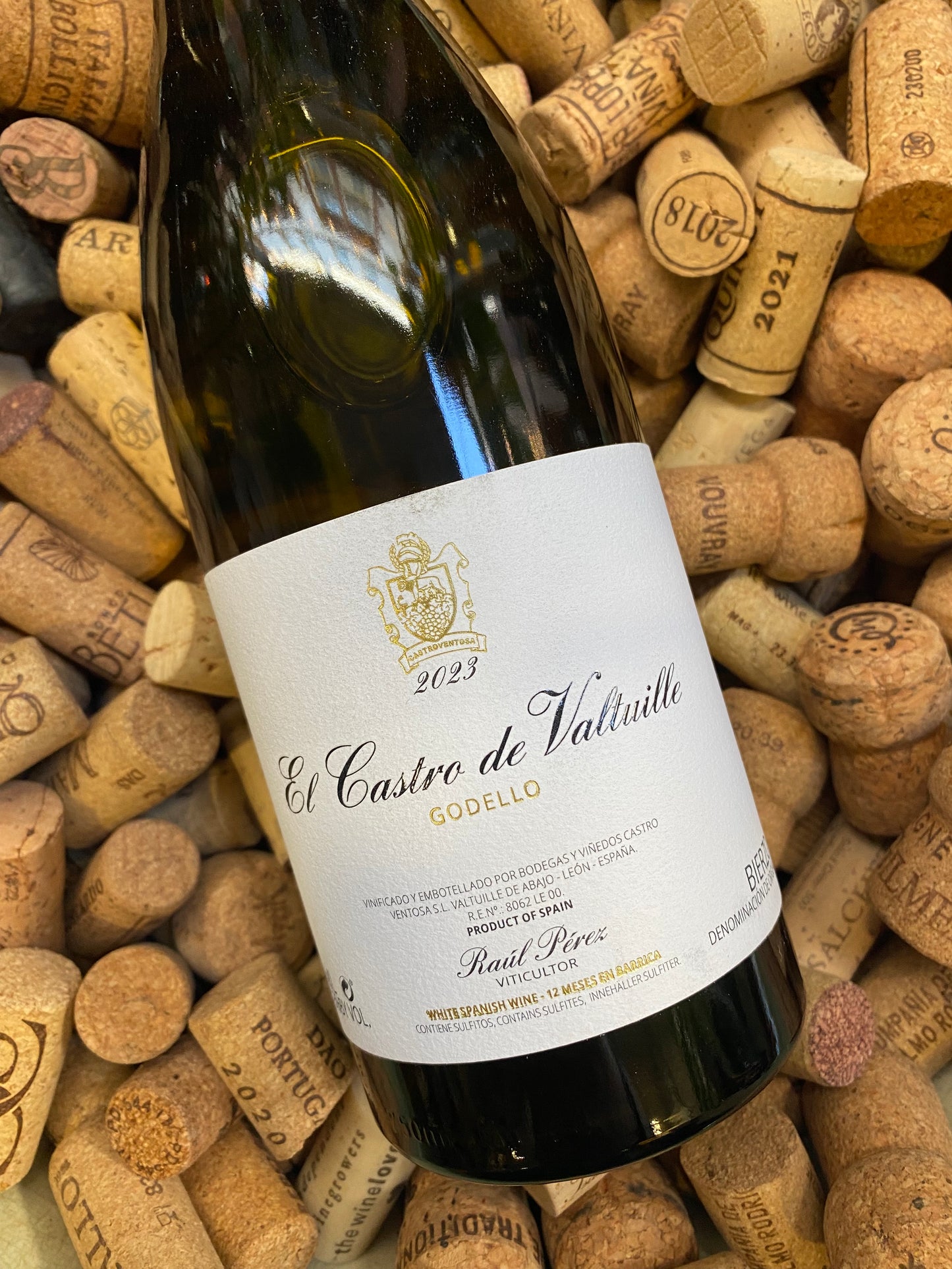 El Castro de Valtuille Godello, Raúl Pérez