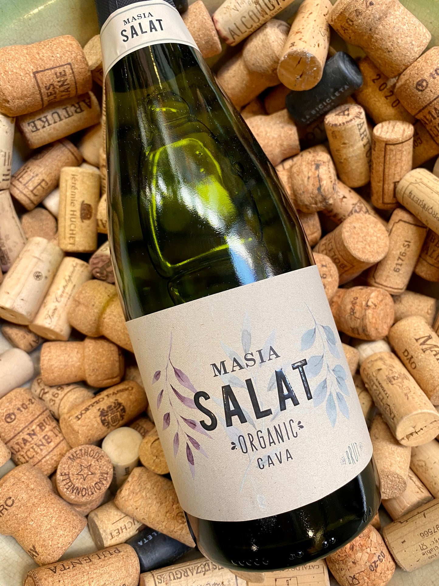 Masia Salat Organic Cava-Sparkling Wine-R&H Fine Wines