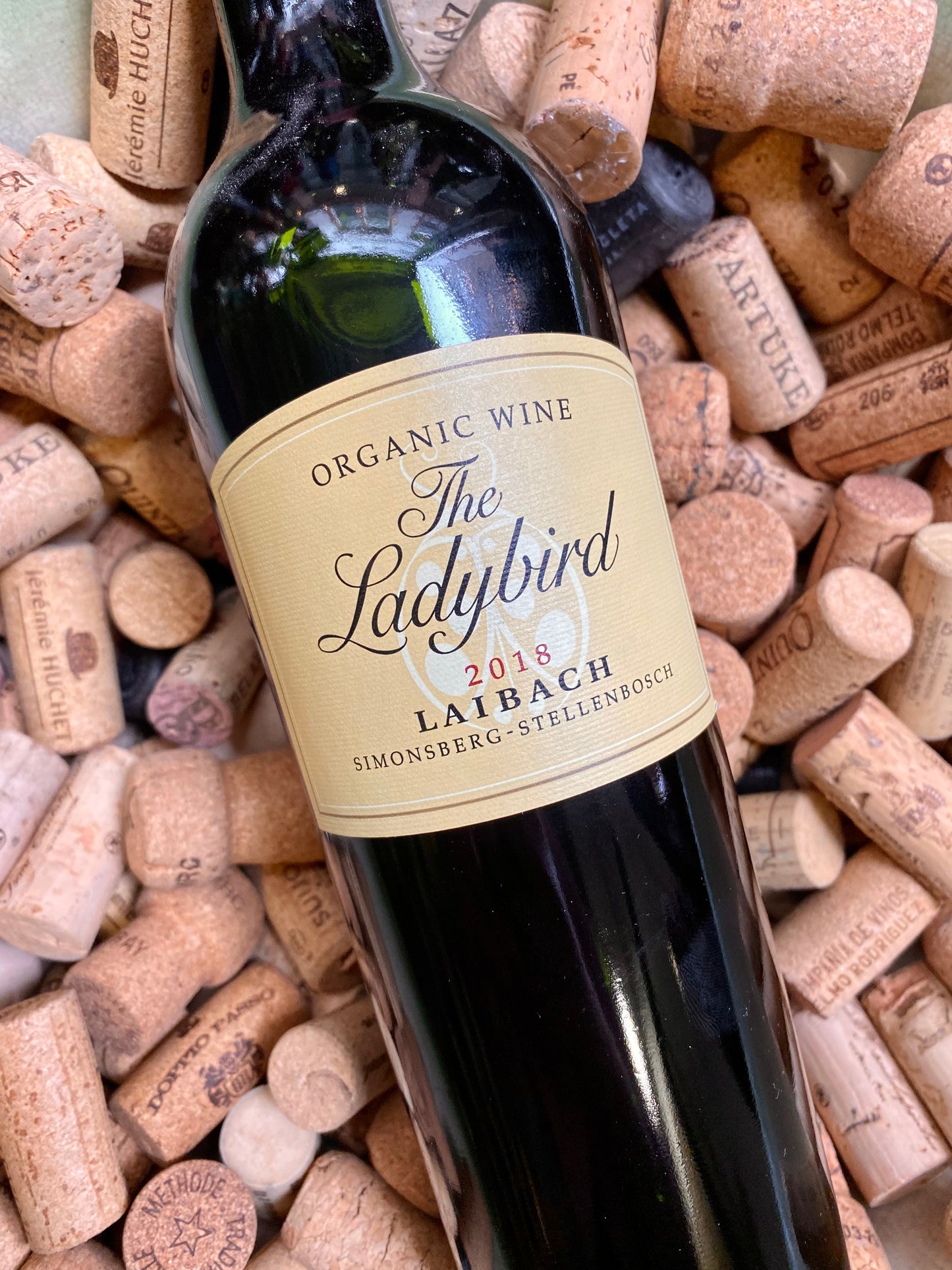 The Ladybird Laibach Stellenbosch-Red Wine-R&H Fine Wines