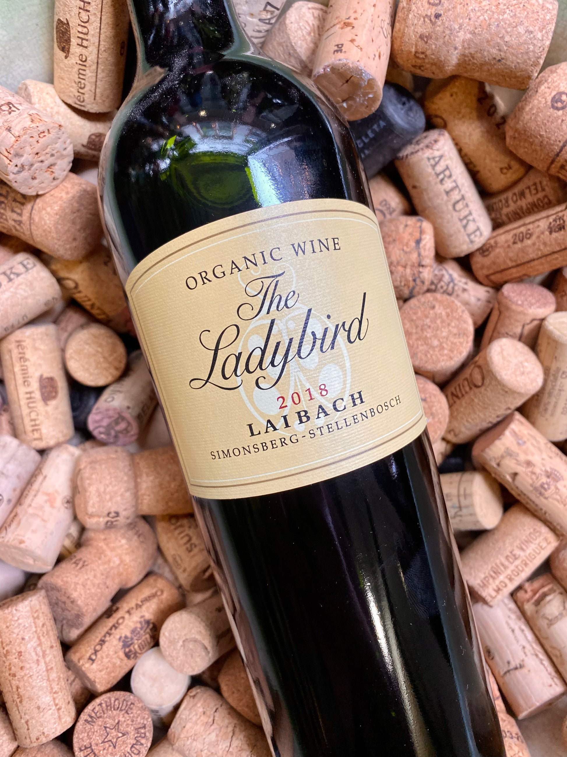 The Ladybird Laibach Stellenbosch-Red Wine-R&H Fine Wines