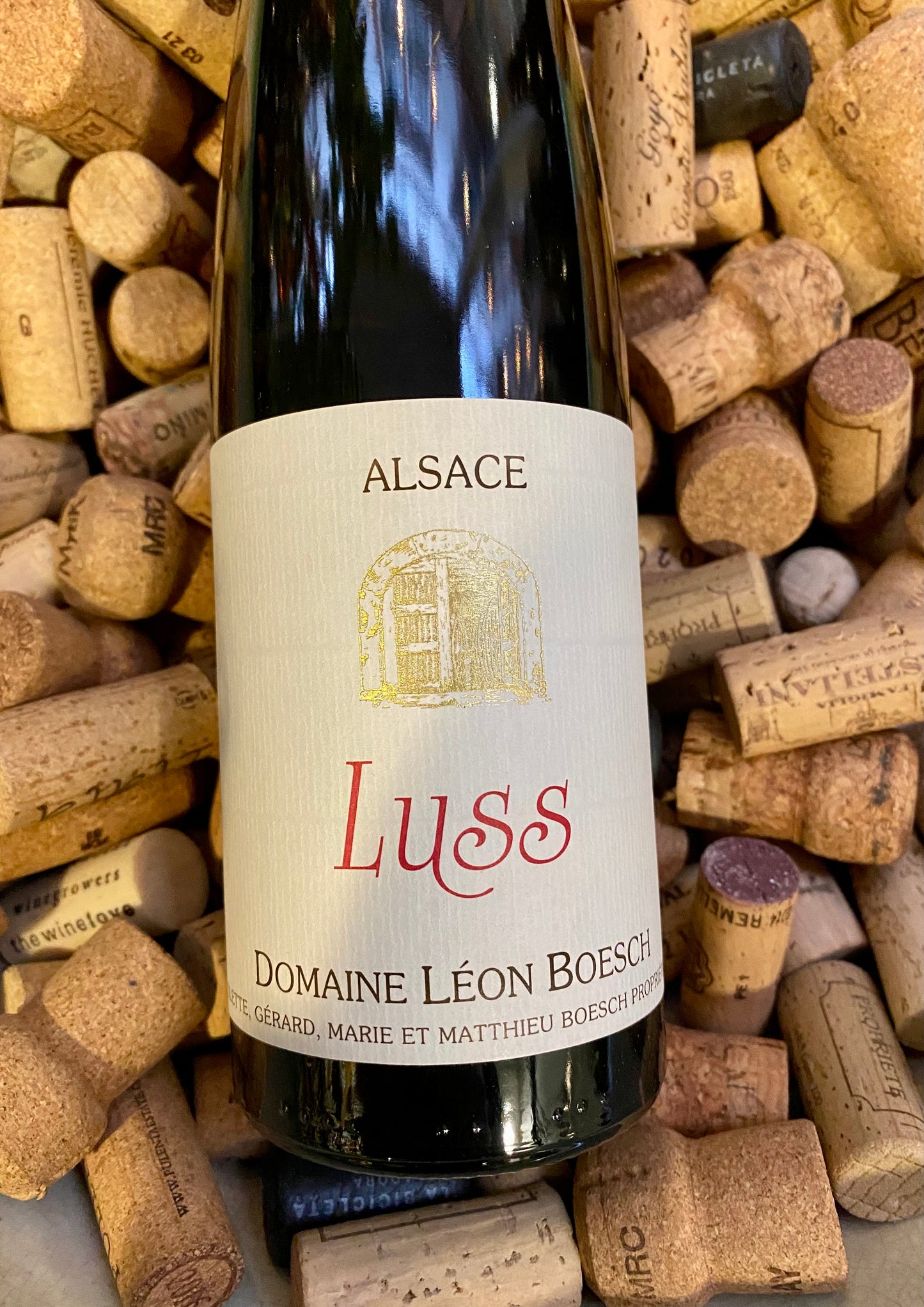 Leon Boesch Luss Riesling-White Wine-R&H Fine Wines