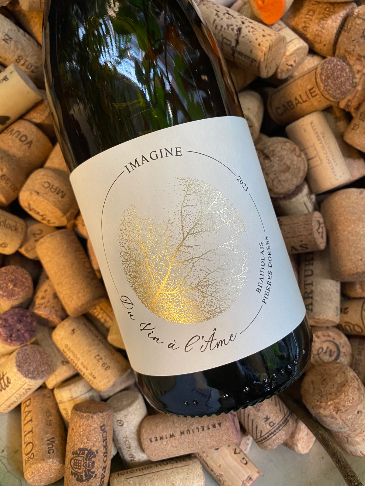 Du Vin à l'Âme - Imagine