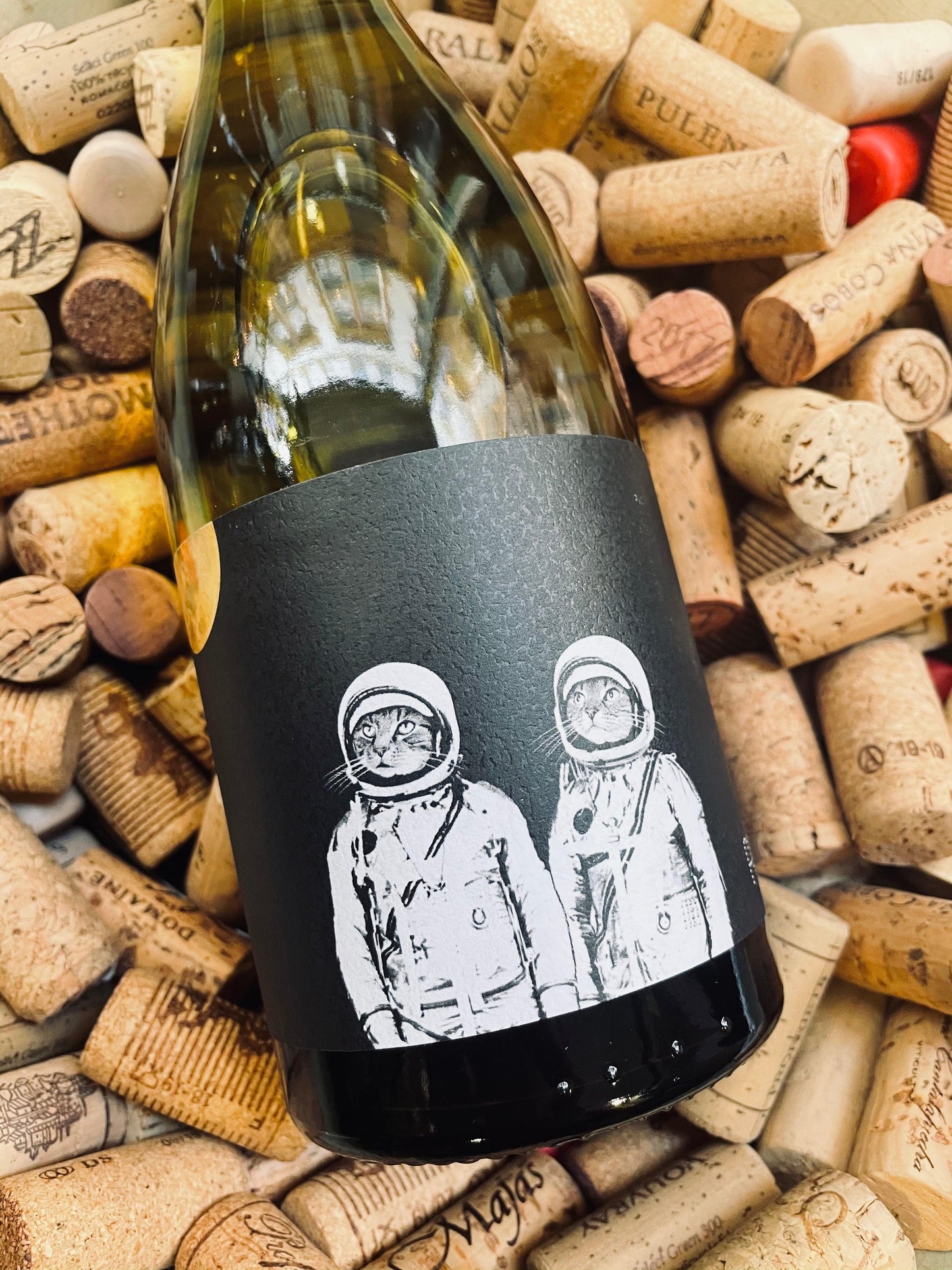 Felicette Grenache Blanc-White Wine-R&H Fine Wines