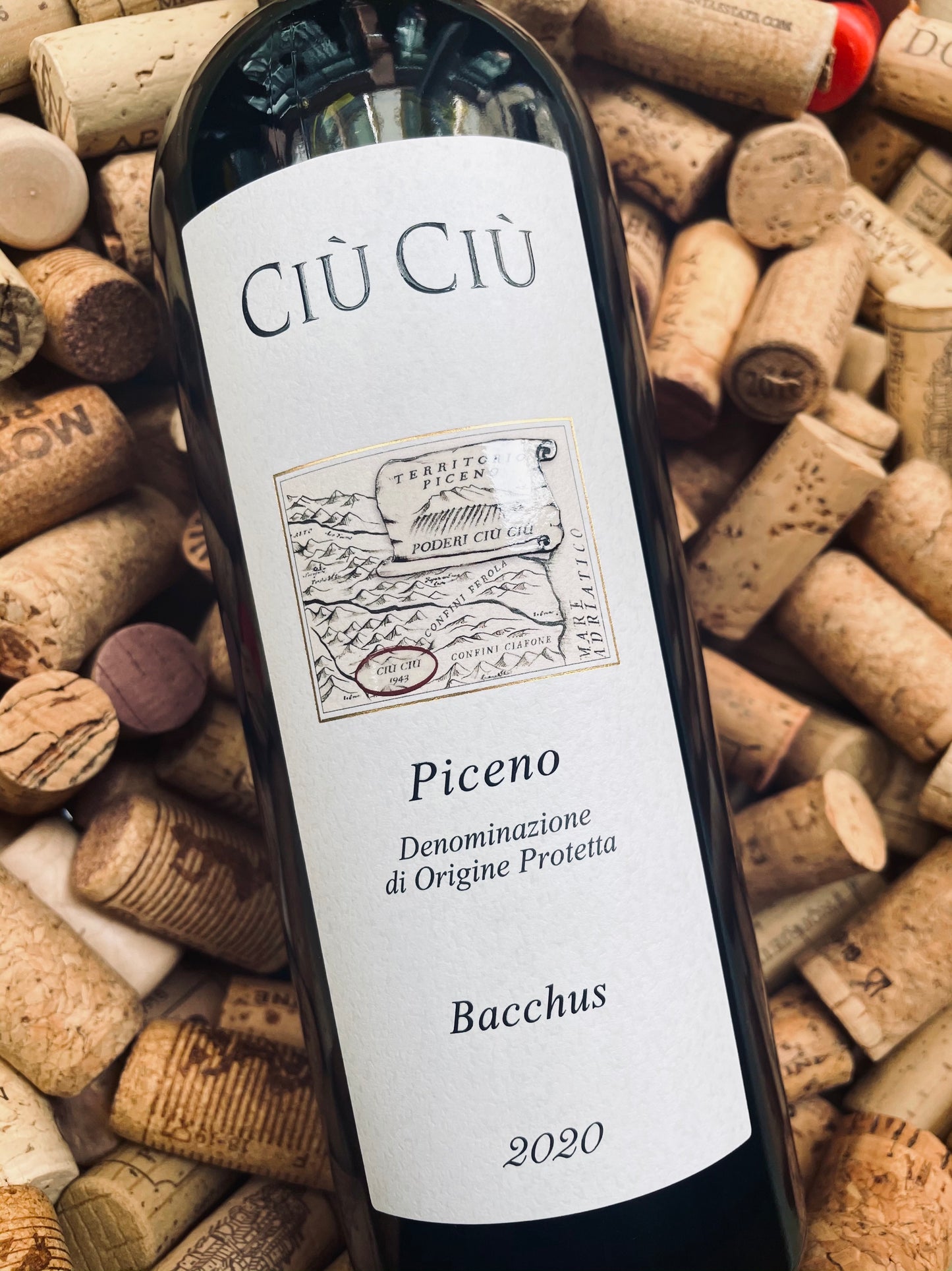 Ciu Ciu Bacchus Piceno-Red Wine-R&H Fine Wines