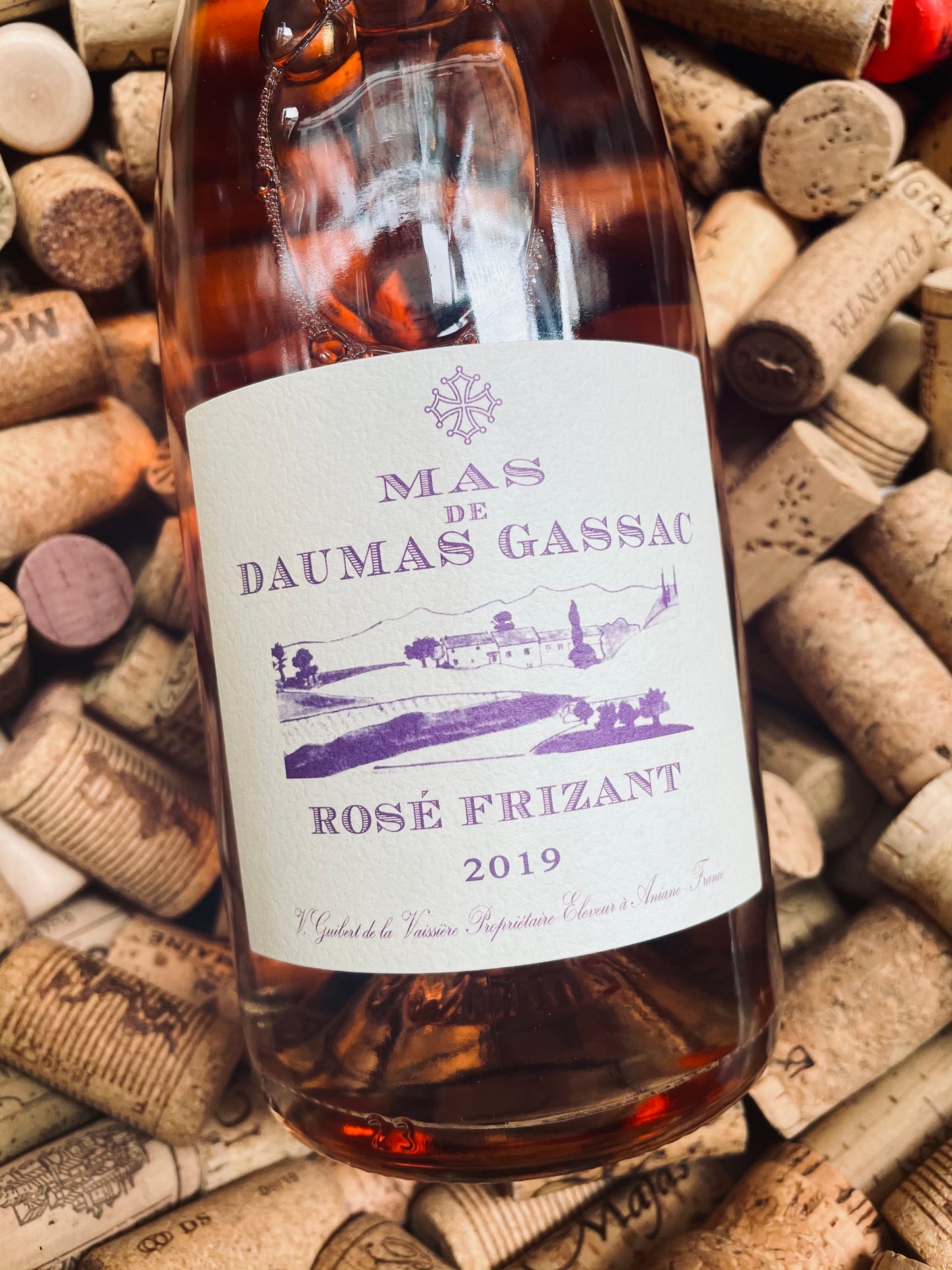 Mas de Daumas Gassac Rosé Frizant-Sparkling Wine-R&H Fine Wines