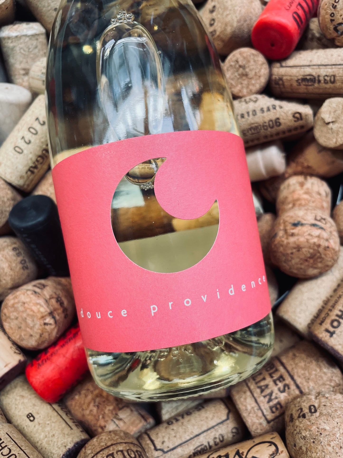 Clos du Gravillas Douce Providence Muscat-Sweet Wine-R&H Fine Wines