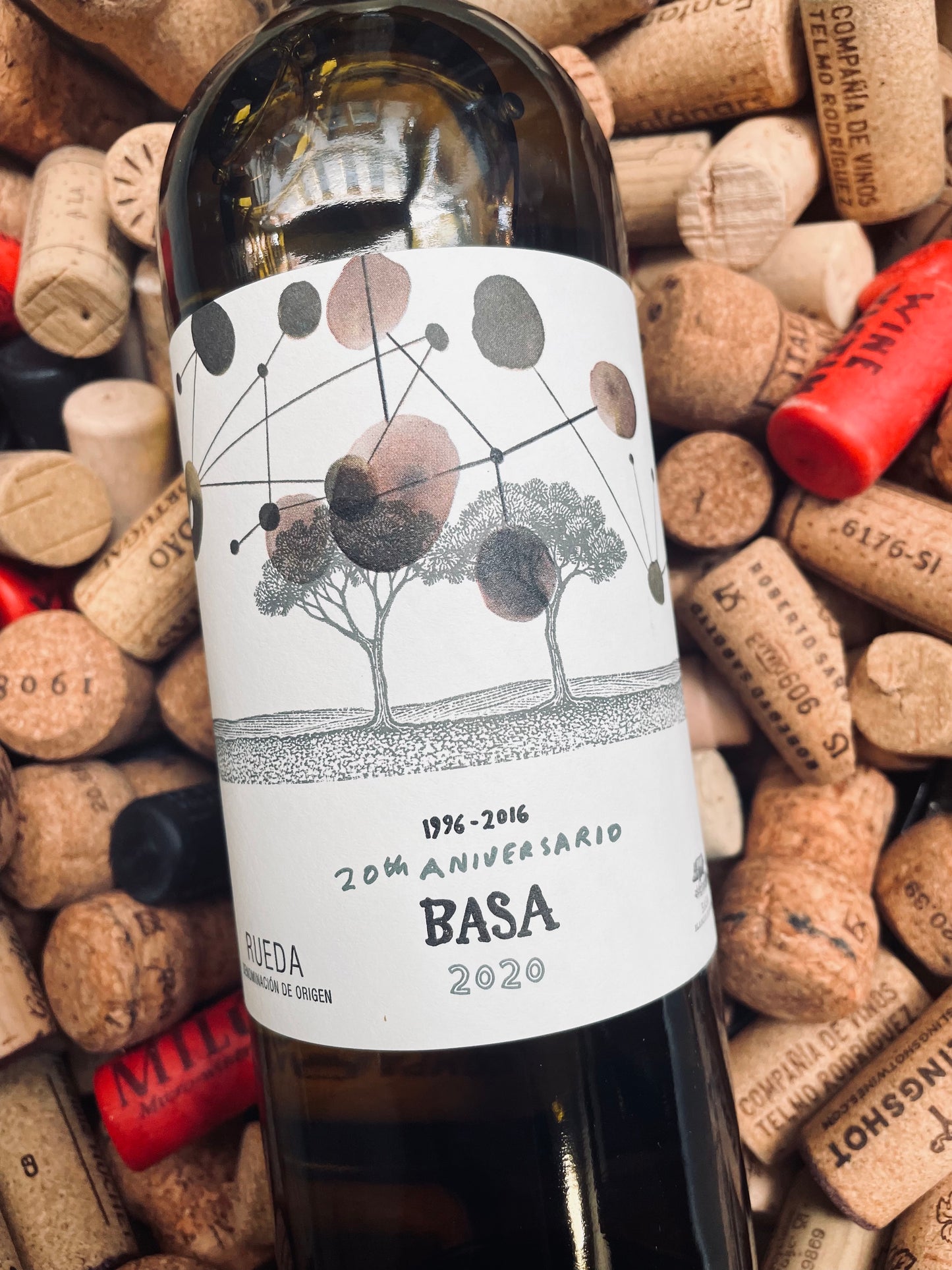 Telmo Rodriguez Basa Blanco-White Wine-R&H Fine Wines