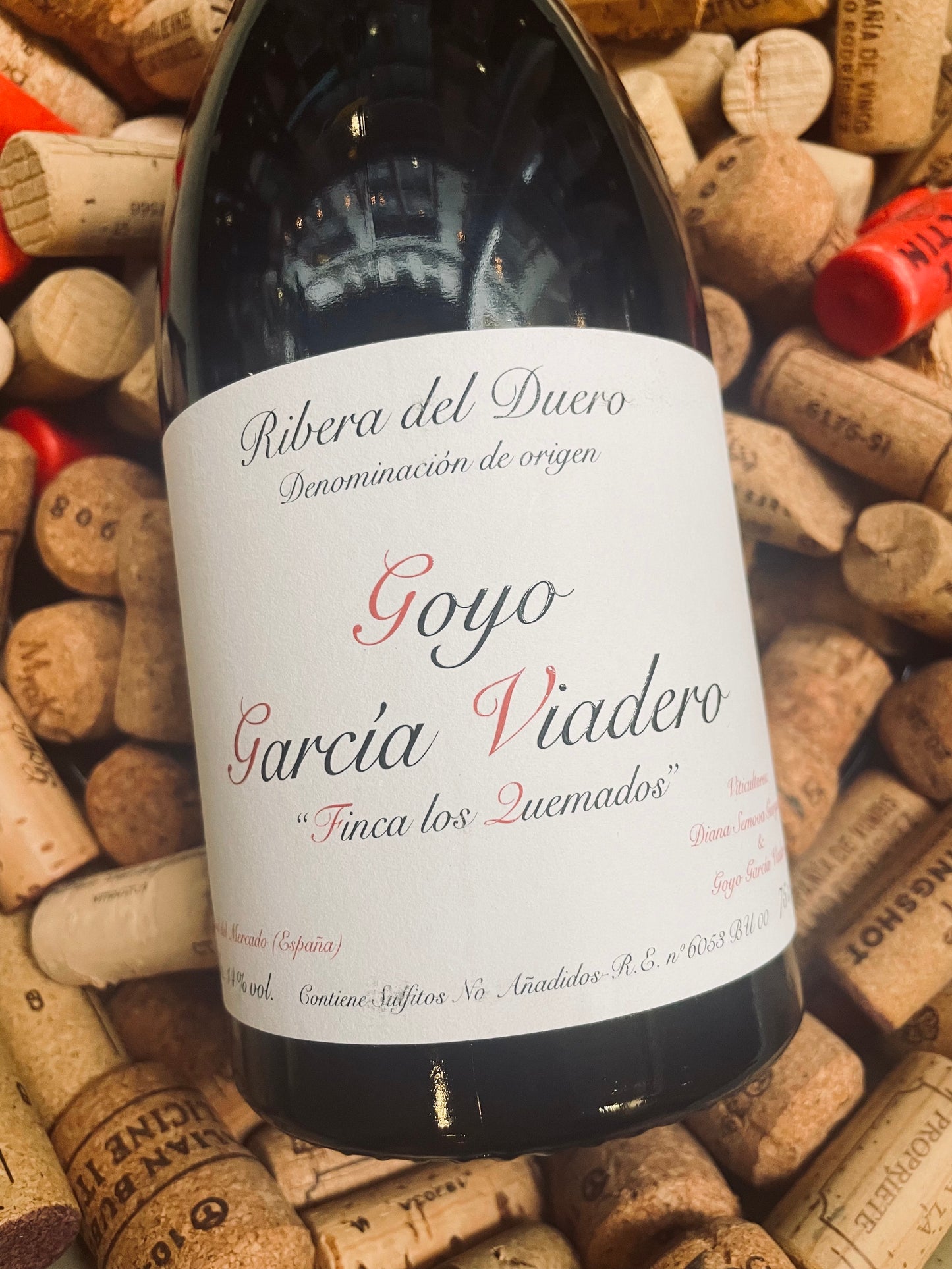 Goyo Garcia Viadero 'Finca los Quemados'-Red Wine-R&H Fine Wines