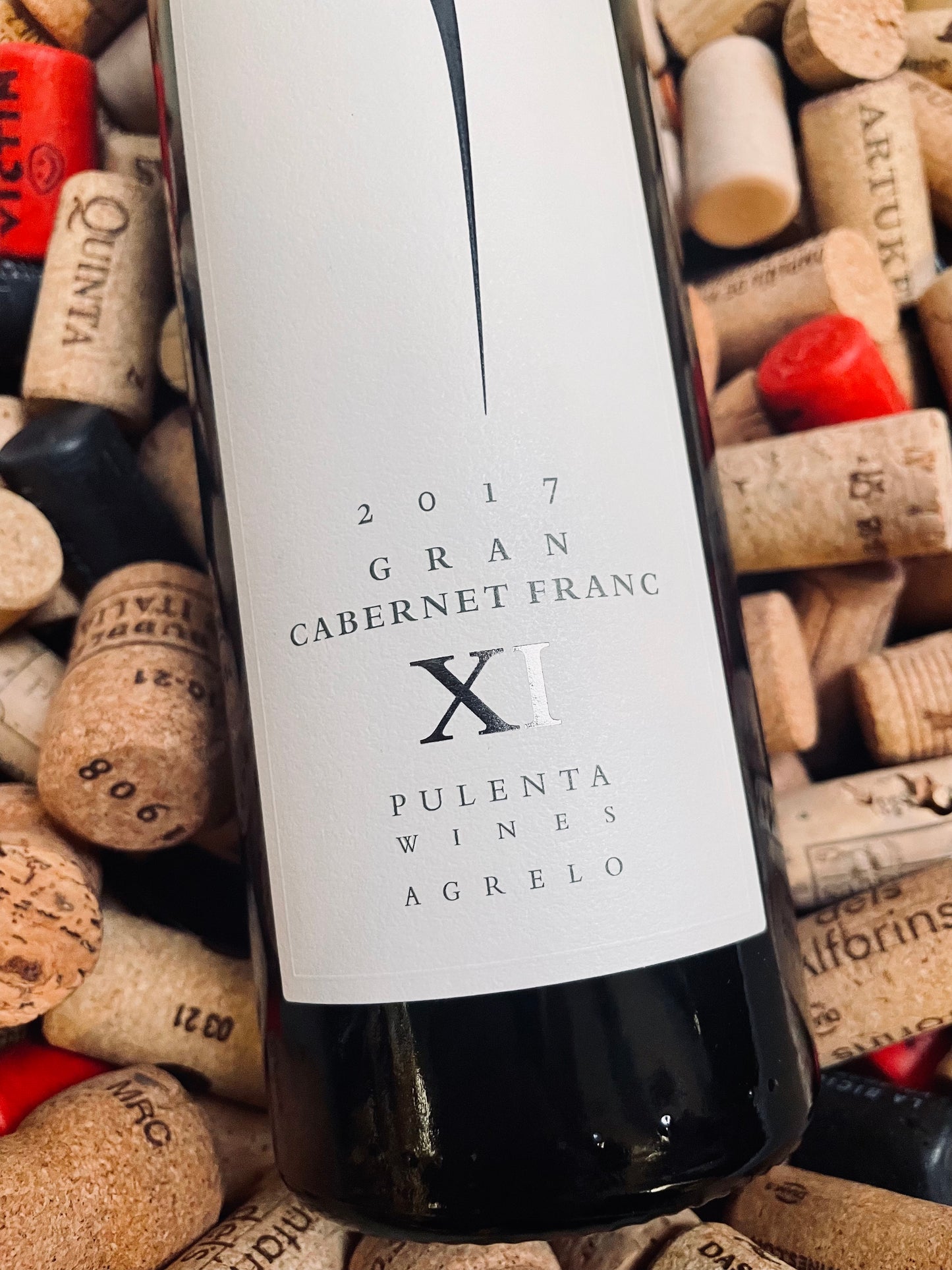 Pulenta Estate Gran Cabernet Franc XI-Red wine-R&H Fine Wines