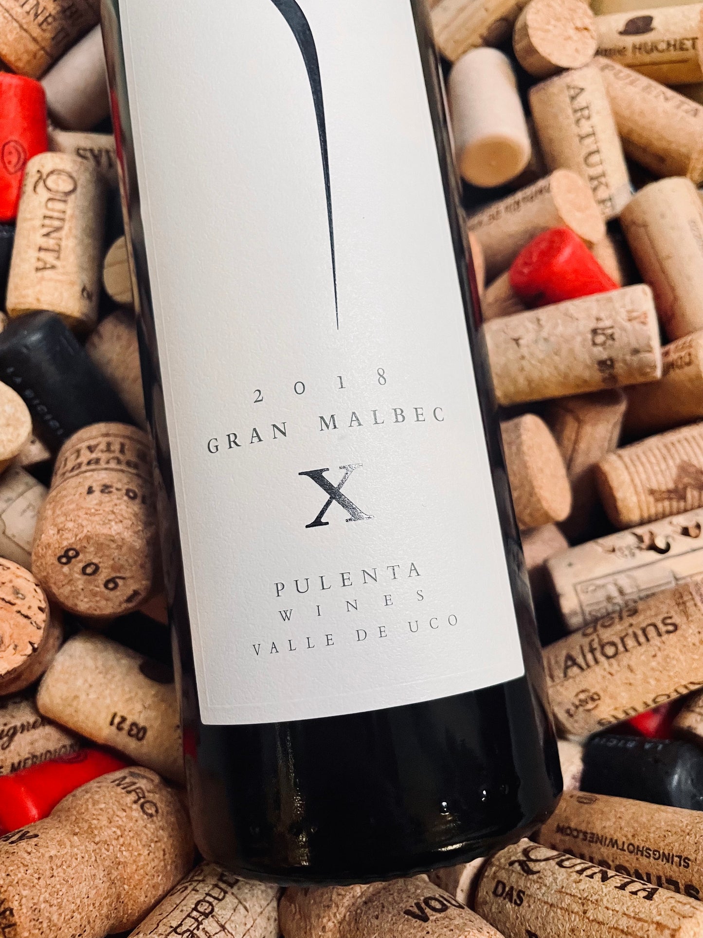 Pulenta Estate Gran Malbec X-Red wine-R&H Fine Wines