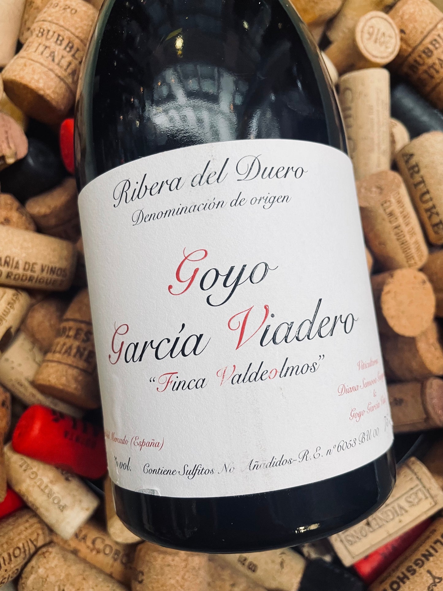 Goyo Garcia Viadero 'Finca Valdeolmos'-Red Wine-R&H Fine Wines