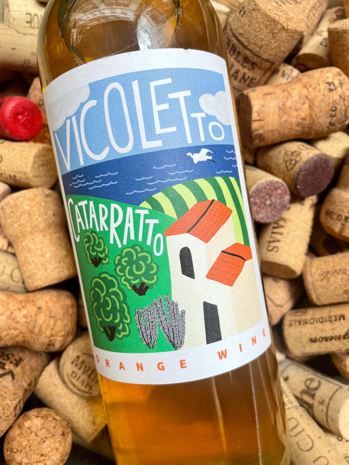 Vicoletto Catarratto 2023-Orange Wine-R&H Fine Wines