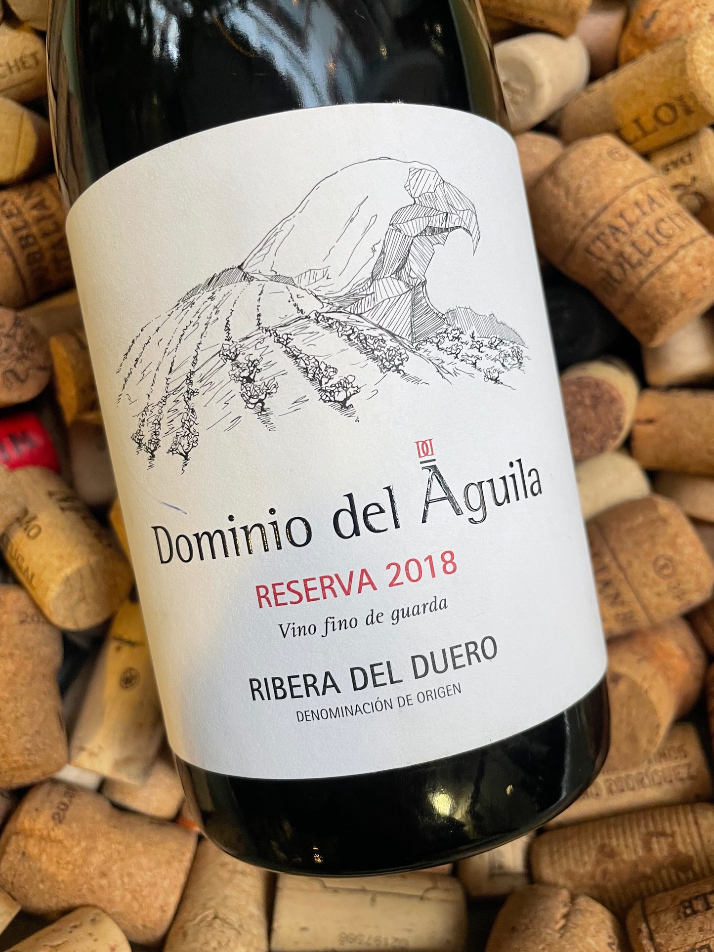 Dominio del Águila Reserva-Red Wine-R&H Fine Wines