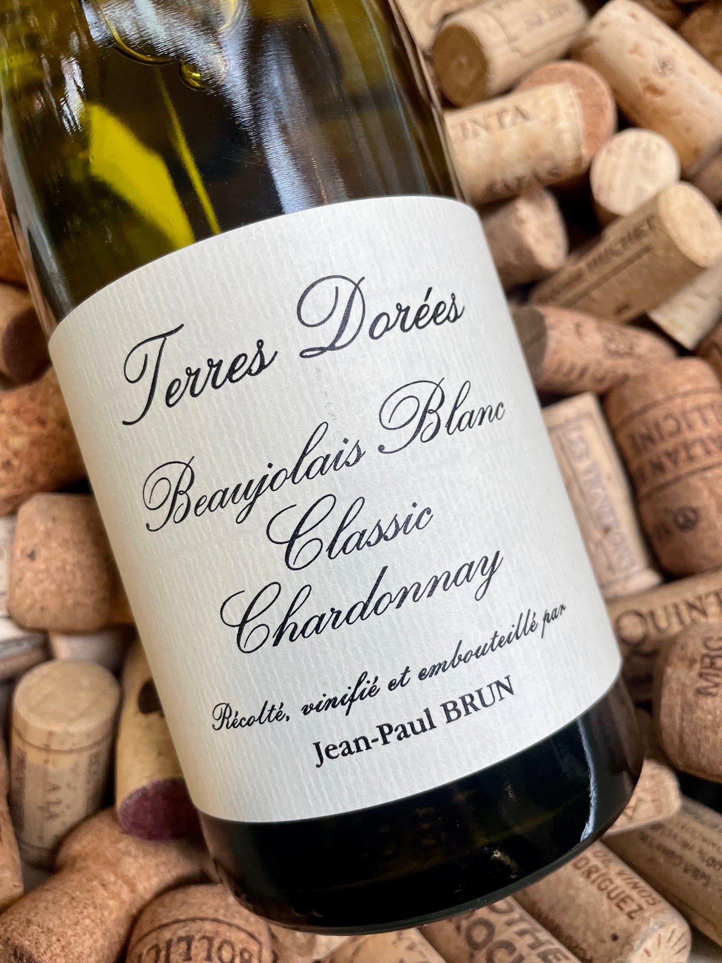 Jean-Paul Brun Terres Dorées Beaujolais Blanc-White Wine-R&H Fine Wines