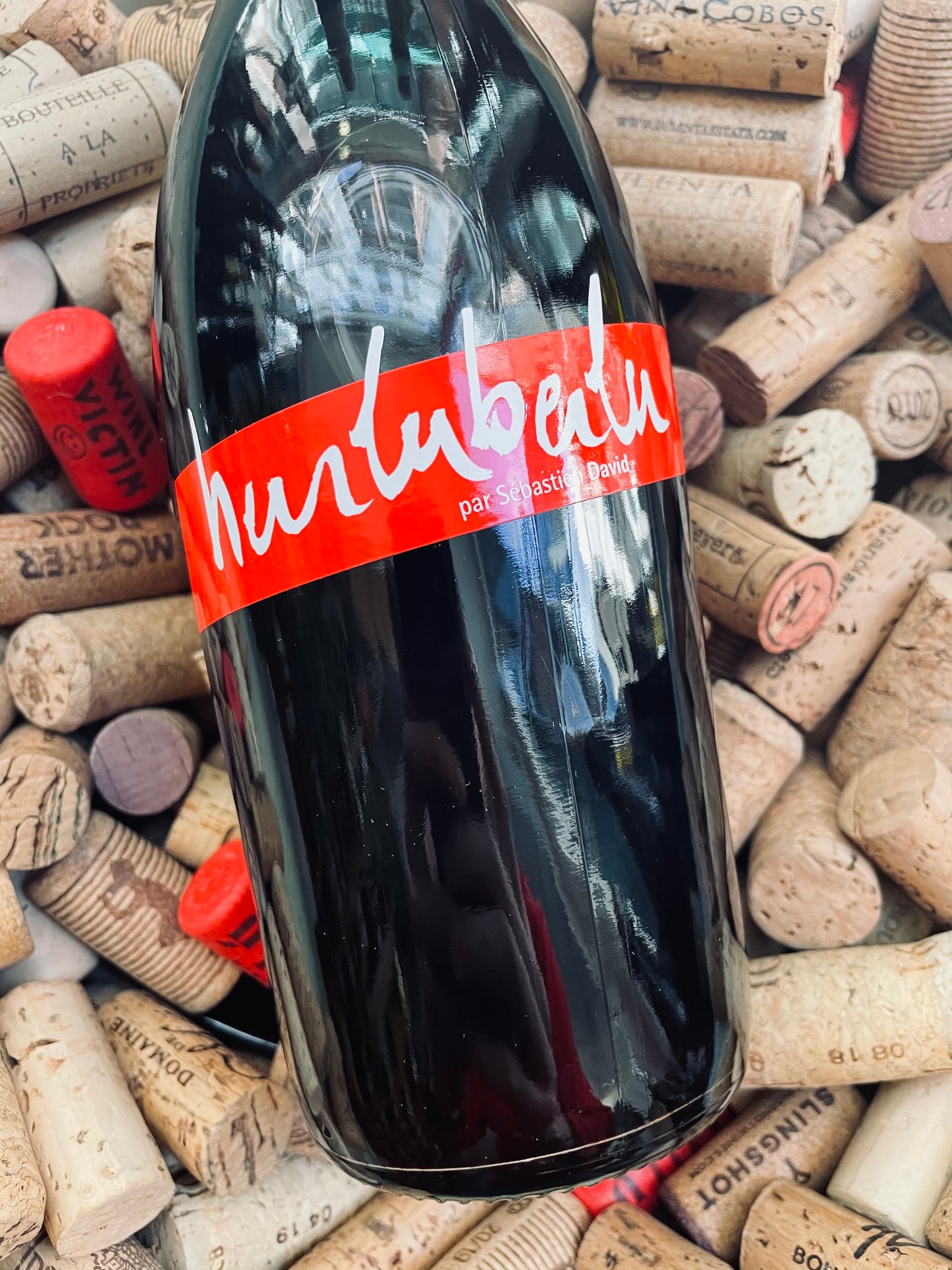 l'Hurluberlu Sebastien David-Red Wine-R&H Fine Wines