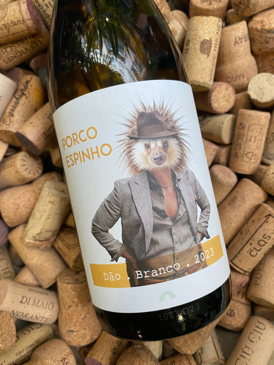 Cas' Amaro Porco Espinho Branco
