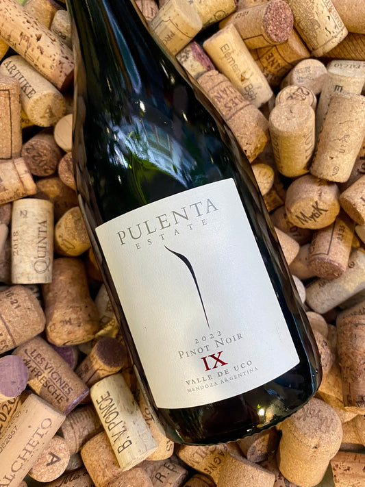 Pulenta Pinot Noir IX-Red Wine-R&amp;H Fine Wines