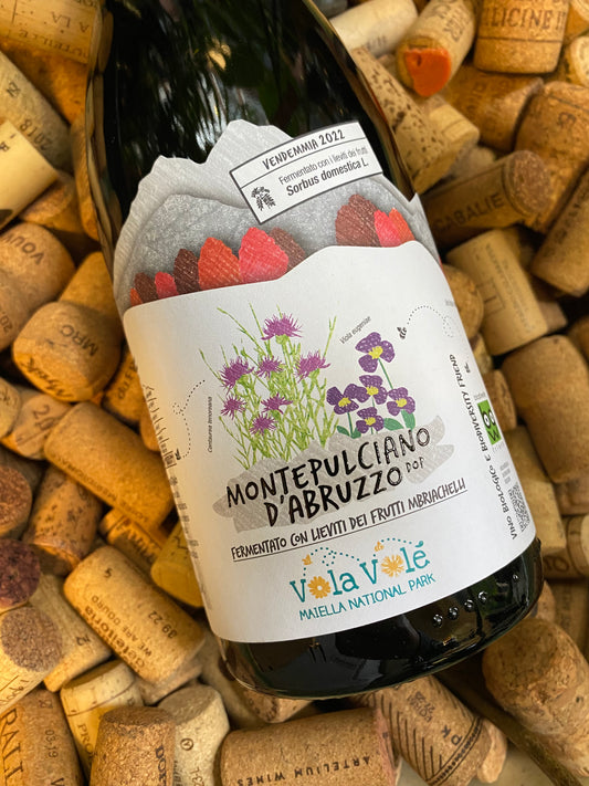 Cantina Orsogna Vola Volé Maiella National Park – Montepulciano d’Abruzzo