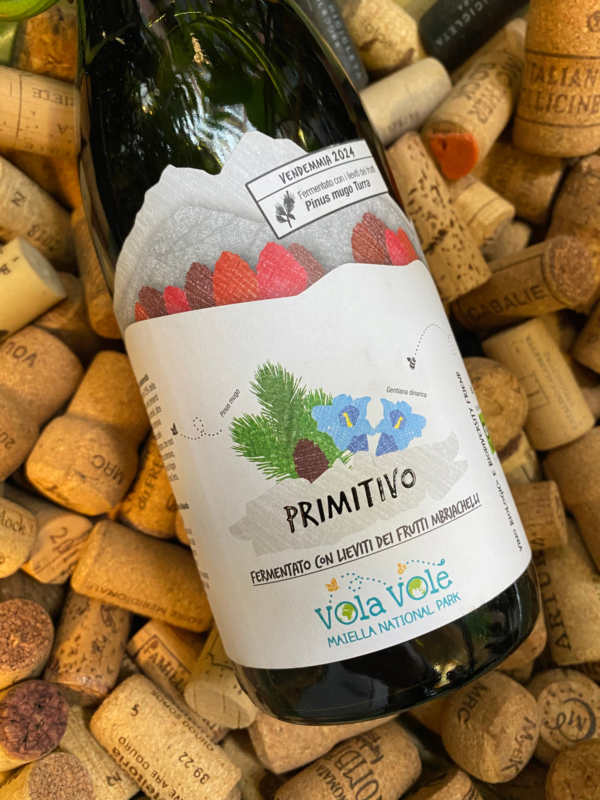 Cantina Orsogna Vola Volé Maiella National Park – Primitivo