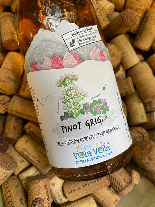 Cantina Orsogna Vola Volé Maiella National Park – Pinot Grigio
