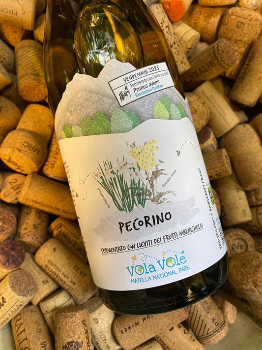 Cantina Orsogna Vola Volé Maiella National Park – Pecorino