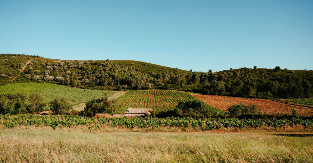 Meet the maker tasting - Domaine de la Dourbie- 30th July
