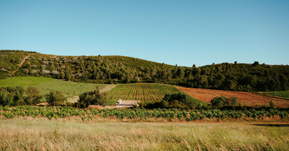 Meet the maker tasting - Domaine de la Dourbie- 30th July