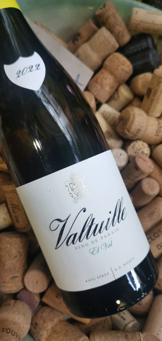 El Castro de Valtuille Godello El Val 2022