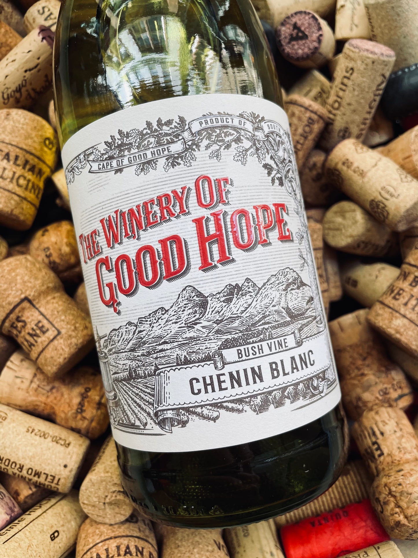 Winery of Good Hope Bush Vine Chenin Blanc