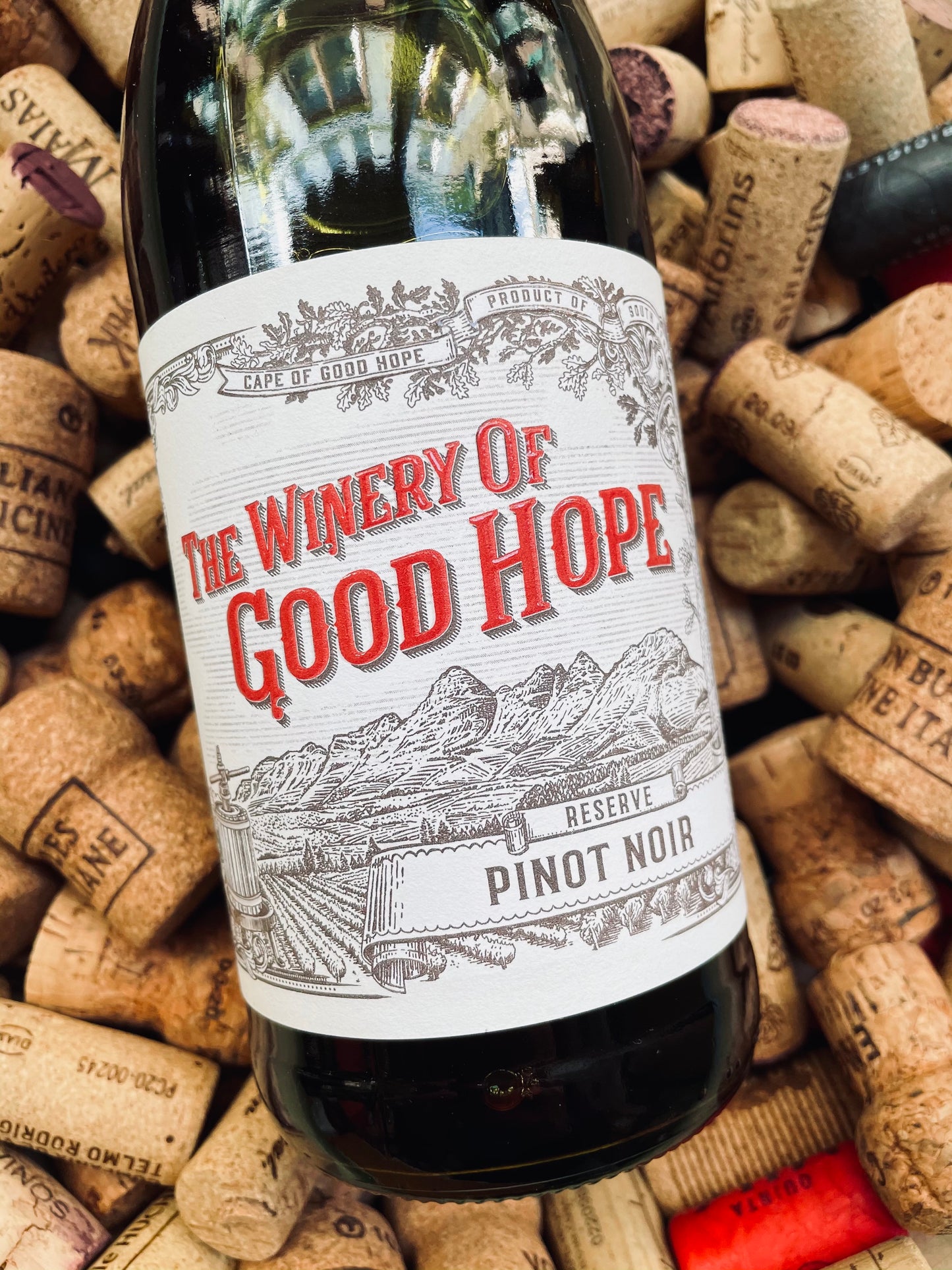 Winery of Good Hope Reserve Pinot Noir